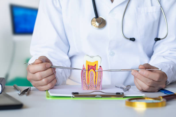 Best Emergency Orthodontic Repairs in Grape Creek, TX